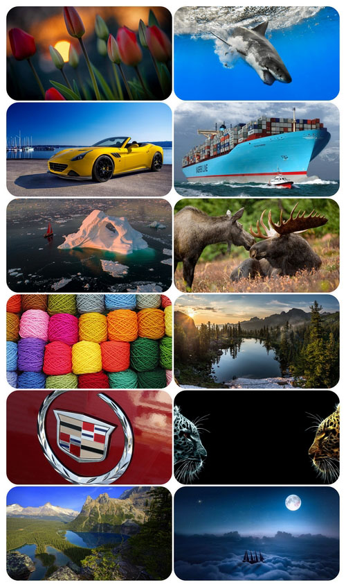 Beautiful Mixed Wallpapers Pack 930
