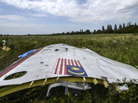 В ЕСПЧ рассказали о состоянии рассмотрения девал по искам родичей жертв MH17