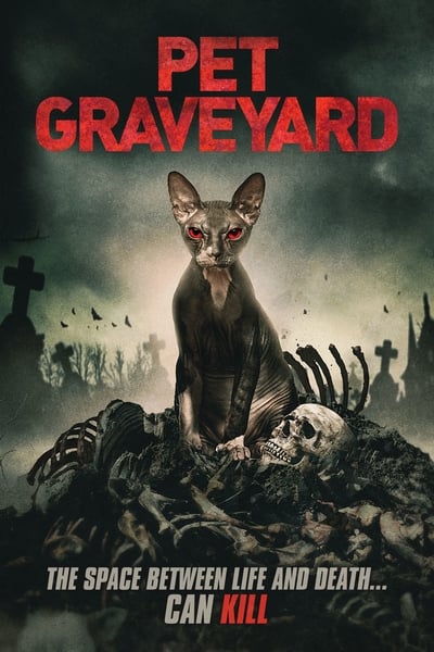 Pet Graveyard 2019 1080p WEBDL H264 AC3-EVO