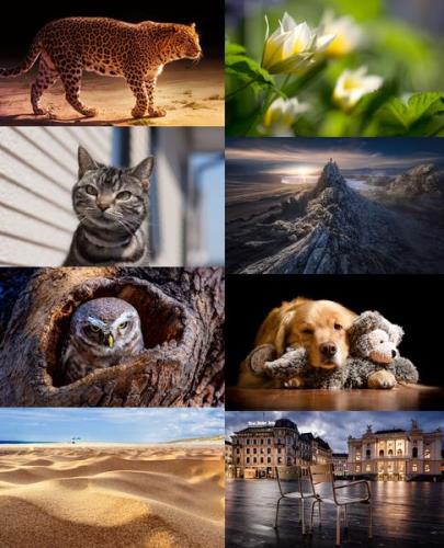 Wallpapers Mix №785