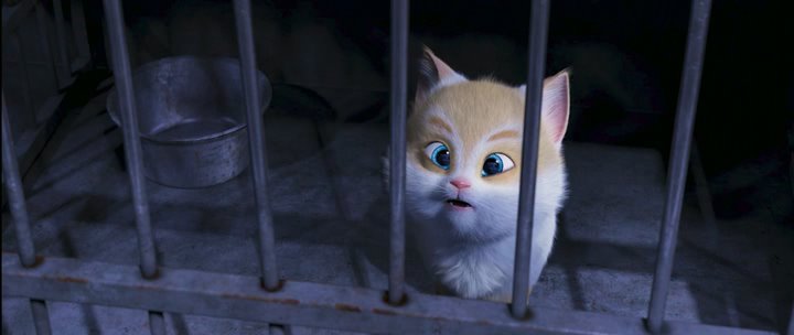    / Cats & Peachtopia (2018) WEB-DLRip | WEB-DL 1080p