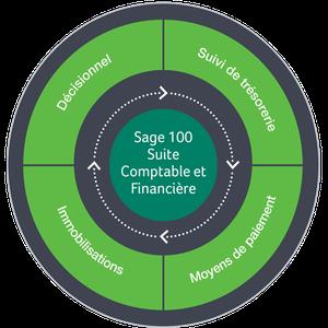 Sage 100C Entreprise Suite Comptable et Financiere v5.00 Multilingual