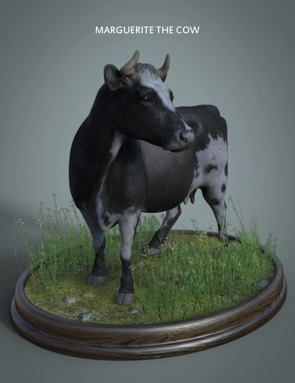 Marguerite The Cow HD for Daz Horse 2