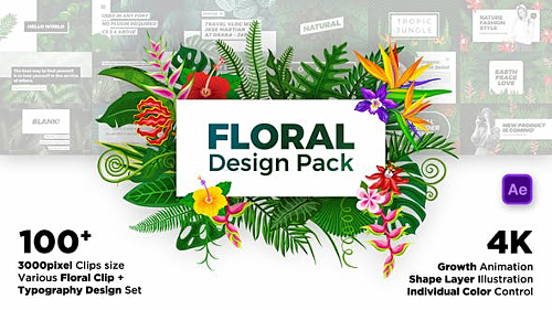 Floral Design Pack - Project for After Effects (Videohive)