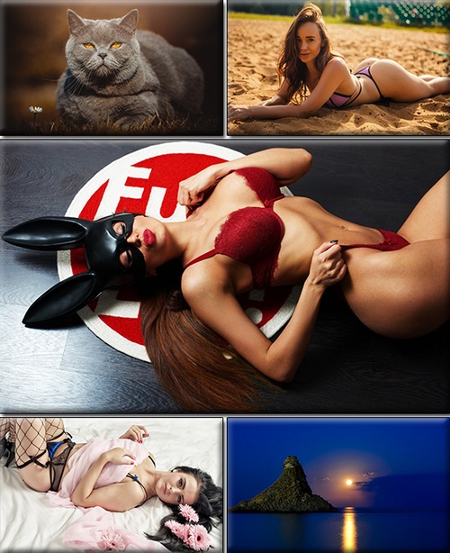 LIFEstyle News MiXture Images. Wallpapers Part (1496)