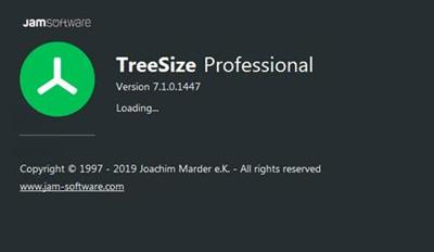 TreeSize Professional 7.1.0.1447 + Portable