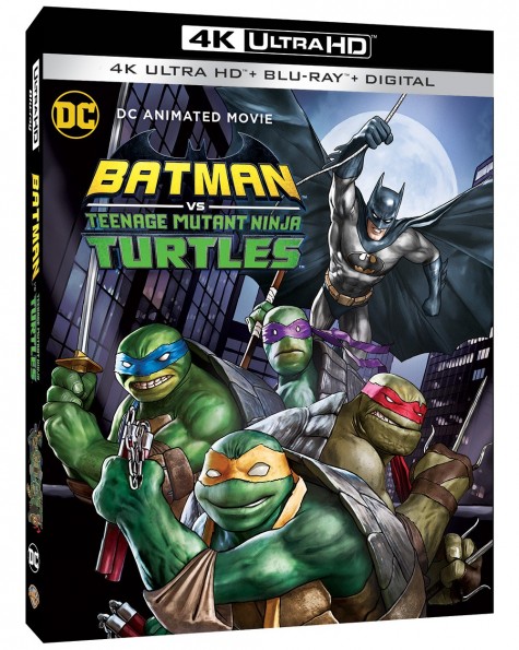 Batman vs Teenage Mutant Ninja Turtles 2019 1080p WEBDL DD5 1 H264-CMRG