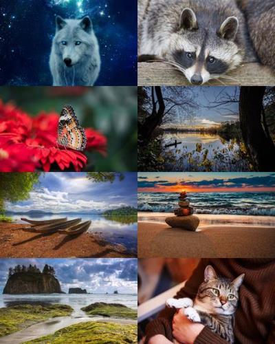 Wallpapers Mix №789