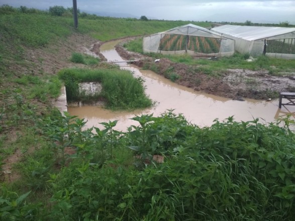 В Закарпатской ОГА наименовали необходимую сумму для ликвидации последствий паводка