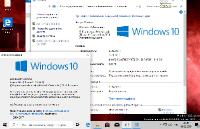  Windows 10 Insider Preview 18334.1.190205-1505.19H1 SURA SOFT (x86/x64)