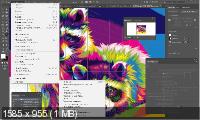 Adobe Illustrator 2020 24.2.0.490 by m0nkrus