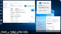 Windows 10 Professional VL 1809 RS5 by OVGorskiy 02.2019 (x86/x64)