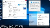 Windows 10 Professional VL 1809 RS5 by OVGorskiy 02.2019 (x86/x64/RUS)