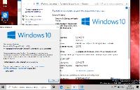 Windows 10 Insider Preview 18841.1000.190215-1738.20H1 SURA SOFT (x86/x64)