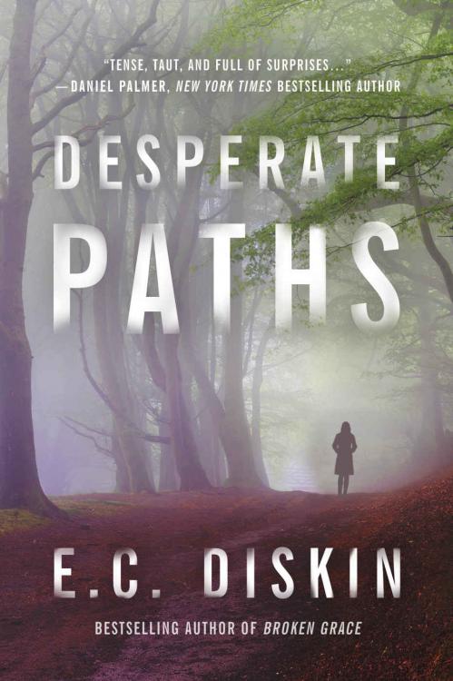 Desperate Paths by E C  Diskin