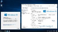 Windows 10 Pro VL RS5 v.31.03.19 by Aspro (x64)