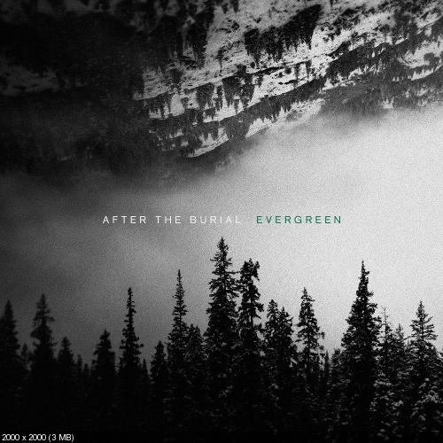 After the Burial - Evergreen (2019)