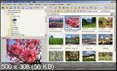 FastStone Image Viewer 7.1 Corporate Portable
